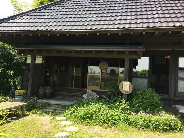 日本千叶荞麦的魅力与探索
