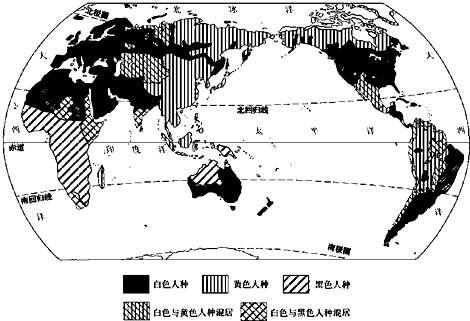 荒蛮人种1985意大利落荒而逃荒蛮人种，1985年的意大利社会印记