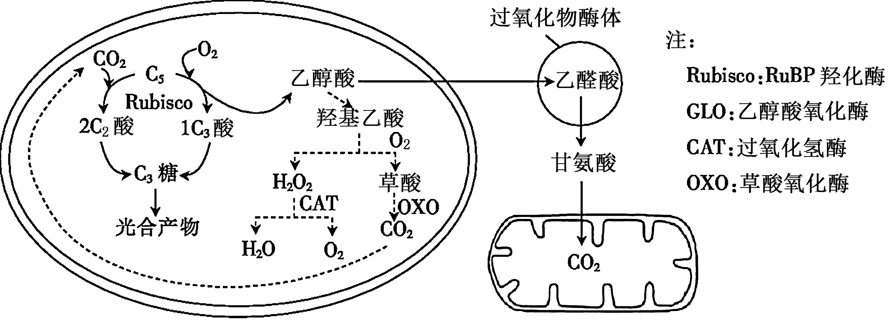 强光下的白灼现象-第1张图片