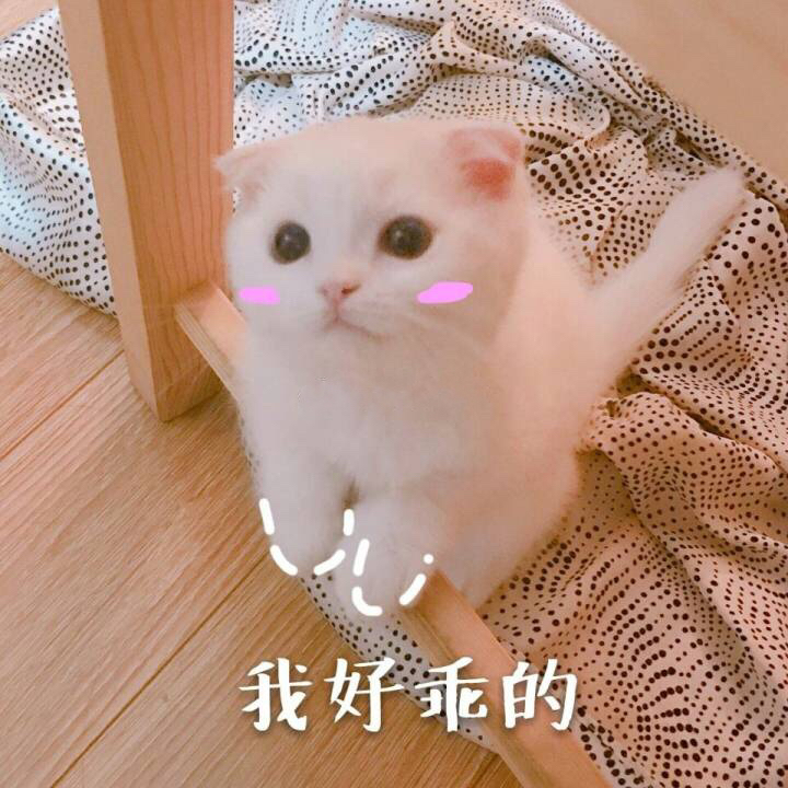 我的乖我的乖，一份深深的情感与期待