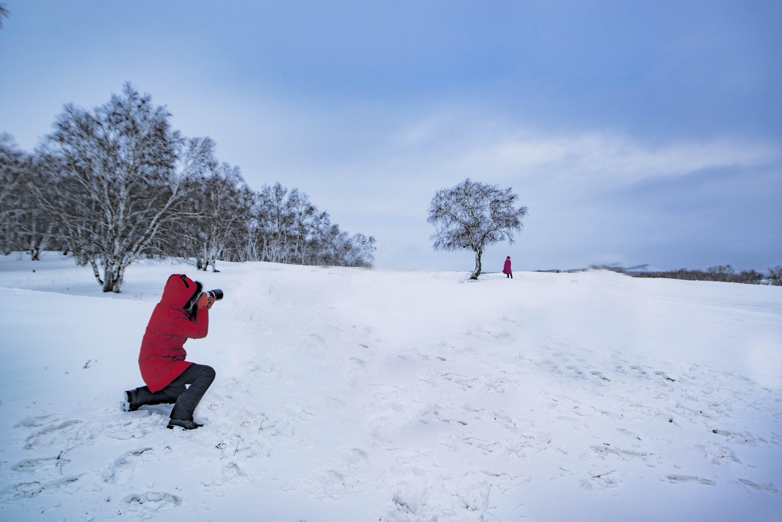 踏雪无痕踏雪无痕，冬日里的足迹与感悟-第3张图片