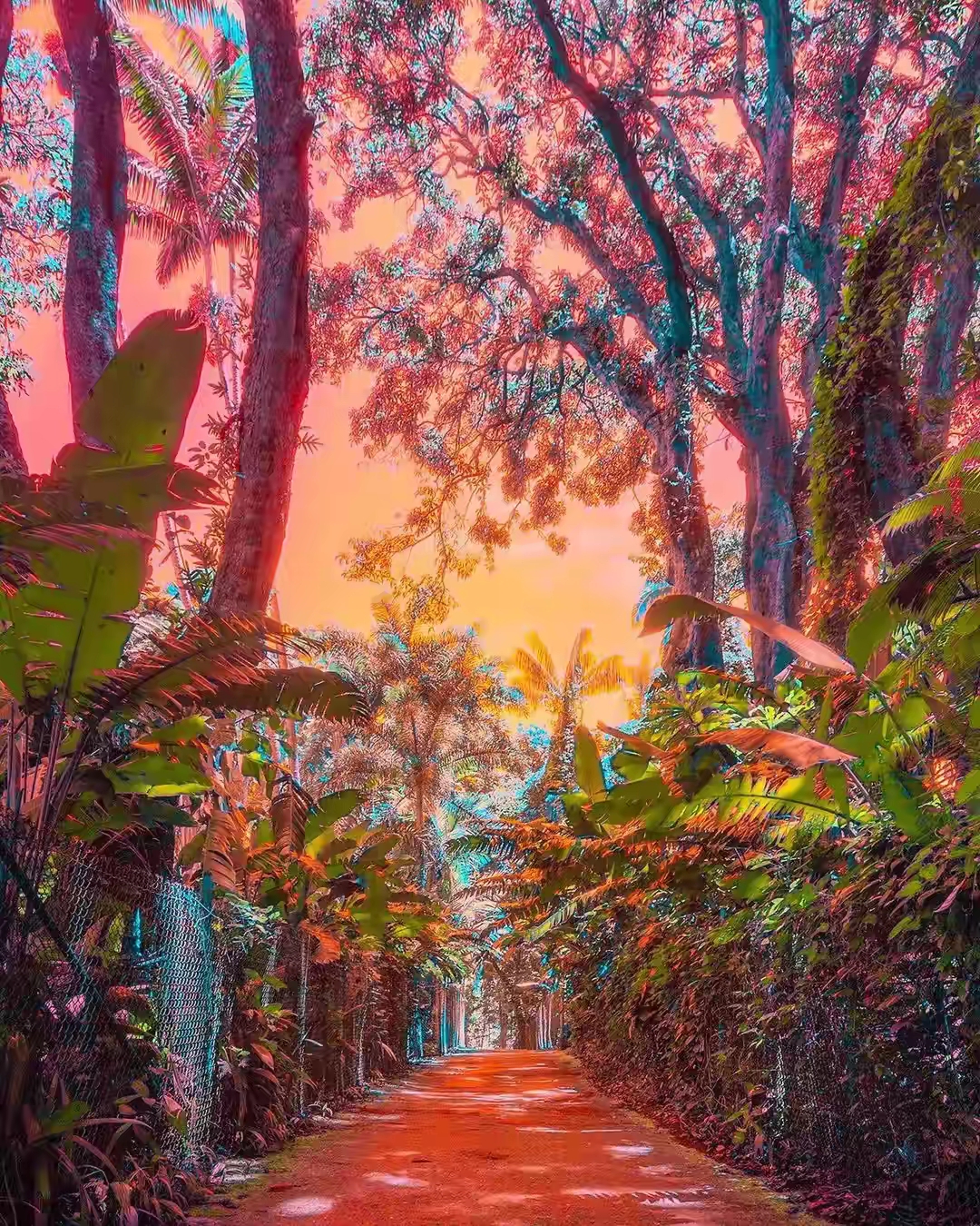 开垦妈妈肥沃的土地开垦妈妈肥沃的土地——传承与成长的故事-第1张图片