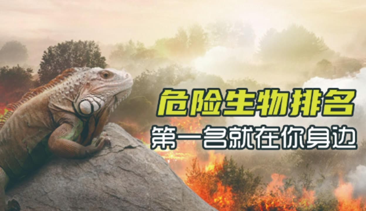 探索www免费视频的多样世界-第2张图片