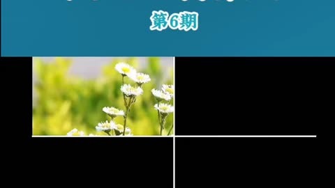 欧洲一卡二卡三卡四卡之毛的探索