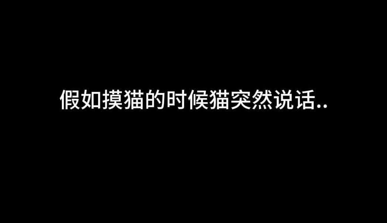 探索啦啦啦高清影视，在线观看视频的乐趣与体验