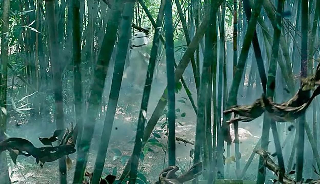 野花影视在线观看免费高清完整版韩国动漫野花影视，免费高清观看韩国影片全记录