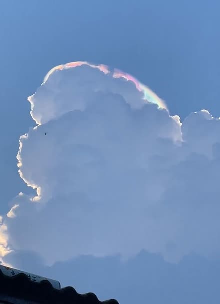 彩虹云点播破解版彩虹云点播破解版，破解的诱惑与风险共存-第1张图片