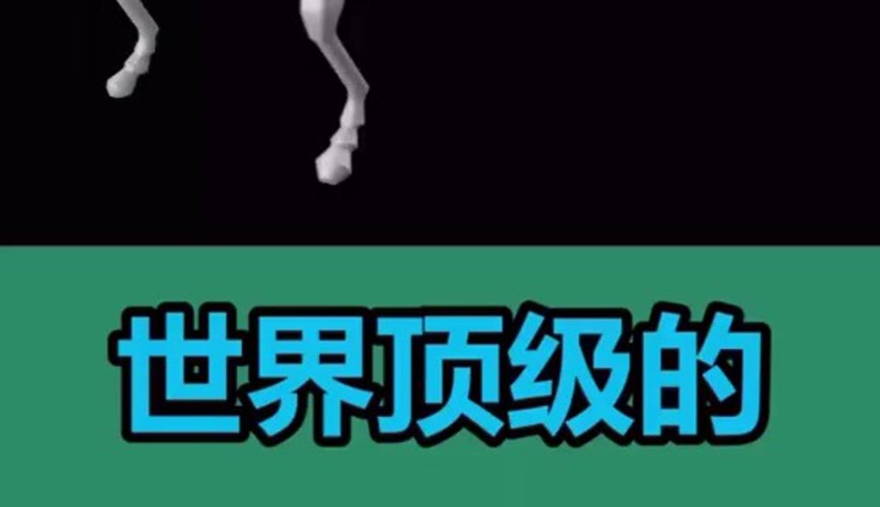 黑科技404，探索未知的数字世界-第1张图片