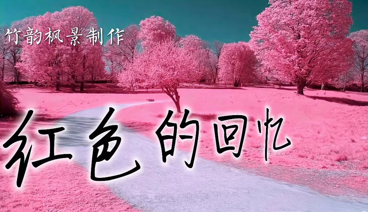 粉色视频。高清粉色视频，在线观看的乐趣与体验-第3张图片