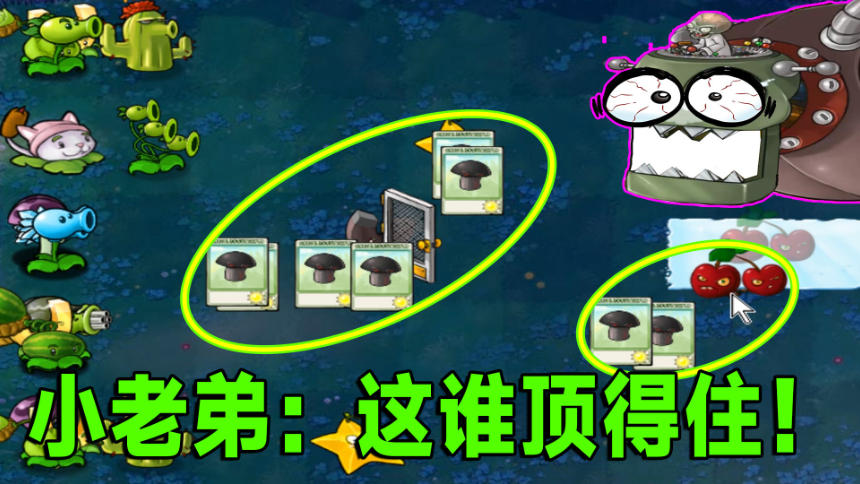 蘑菇视频在线观看完整版，探索与欣赏的便捷途径
