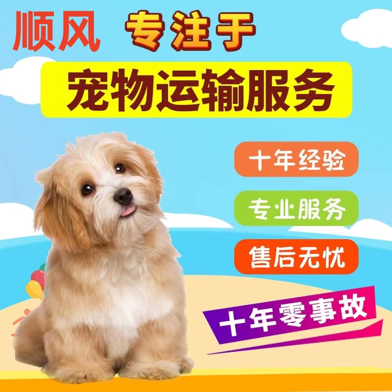 顺风官网顺风官网，便捷、高效的在线服务平台-第3张图片