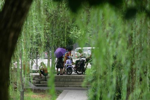 老人森林交易视频的背后故事-第3张图片