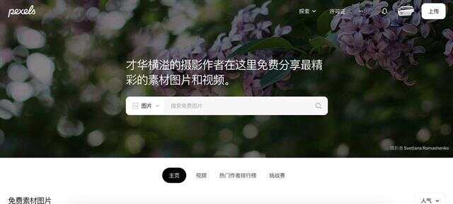 天堂中文资源库官网探索天堂中文资源库官网的魅力-第1张图片
