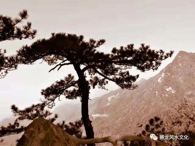 深山与子欲乱生活小说最新章节深山隐居，子欲乱的生活小说