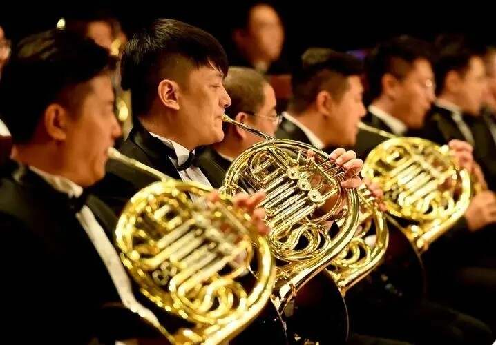 公交车爱公交车与爱的交响曲-第2张图片