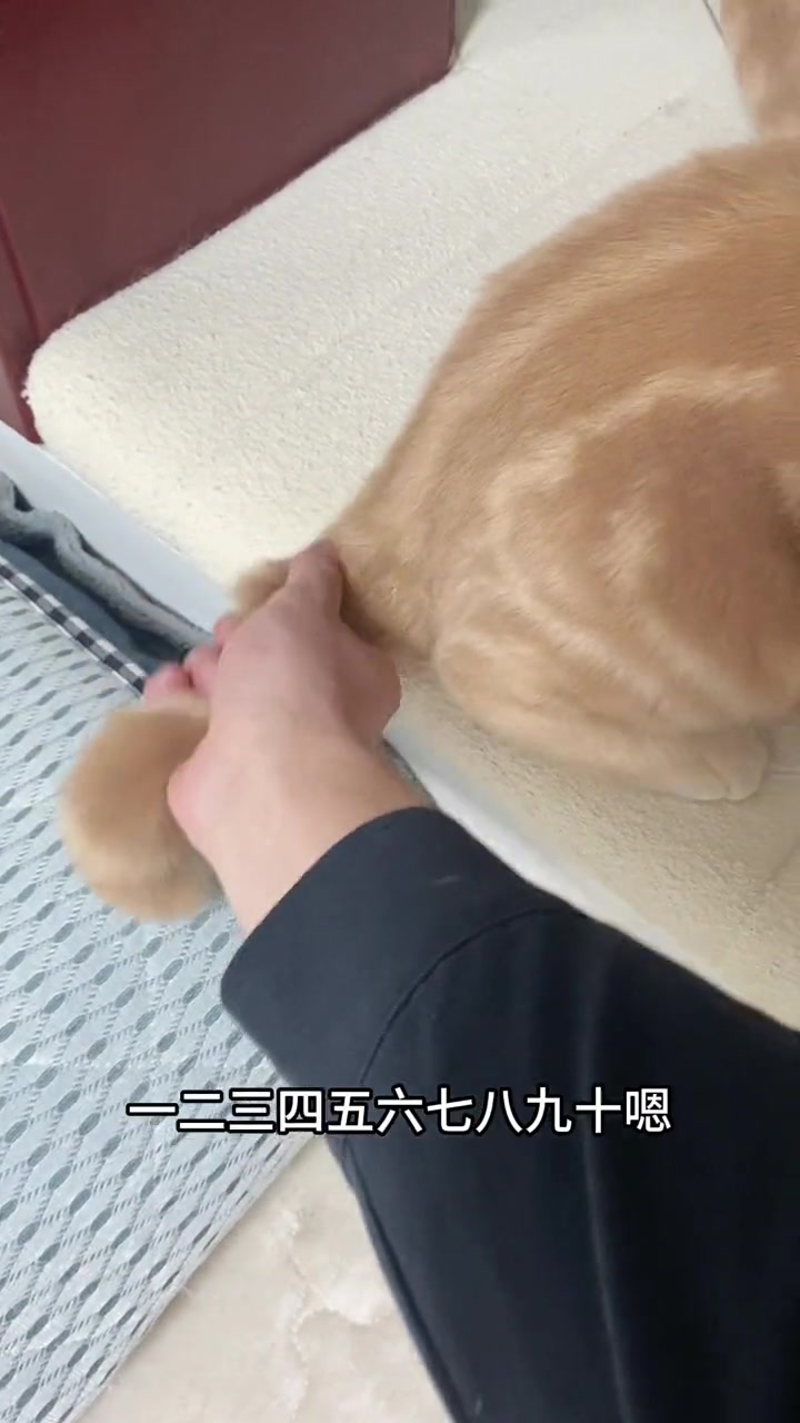 一二三四免费高清观看视频一二三四免费高清观看视频的便捷与乐趣-第2张图片