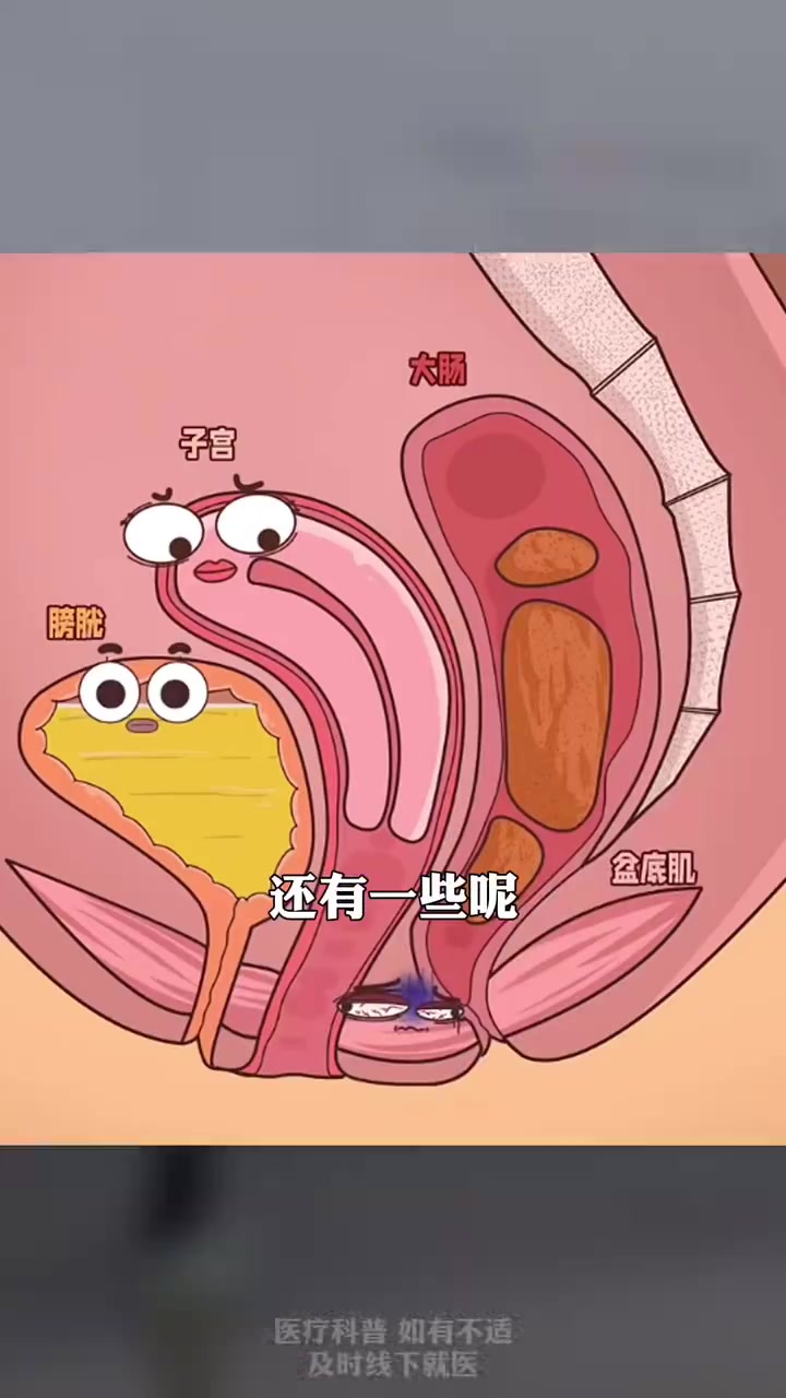 美女的隐私部位探索女性隐私之美-第3张图片