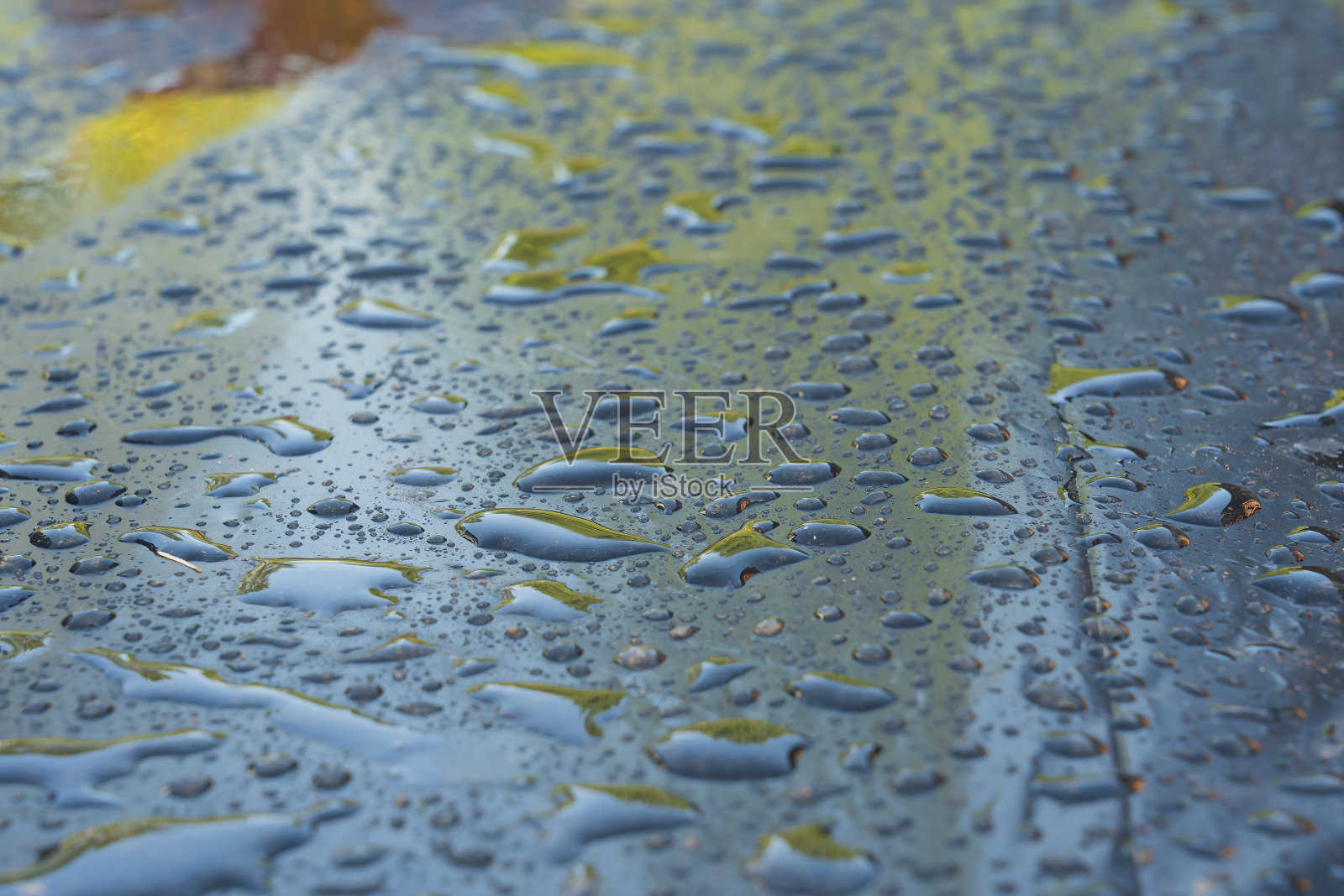 雨后的故事是啥?雨后的故事全集图片，那些被水滴唤醒的瞬间-第2张图片