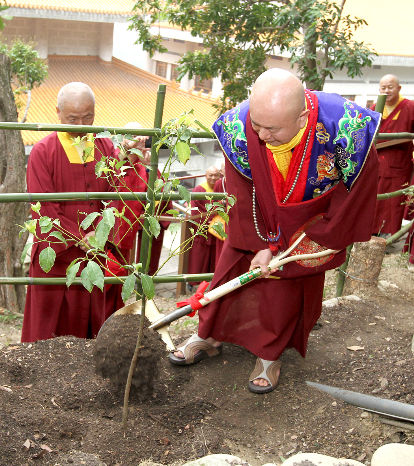师母归来2高清在线播放三色影院，光影交织的视觉盛宴-第2张图片
