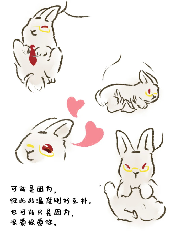 咬小兔兔是站着还是躺着咬小兔兔，站着还是躺着？——一场关于姿势的探索-第3张图片