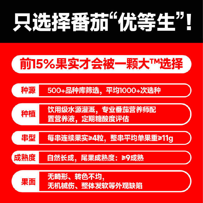 红番茄视频成年红番茄视频，成年人的内容选择与探索-第3张图片