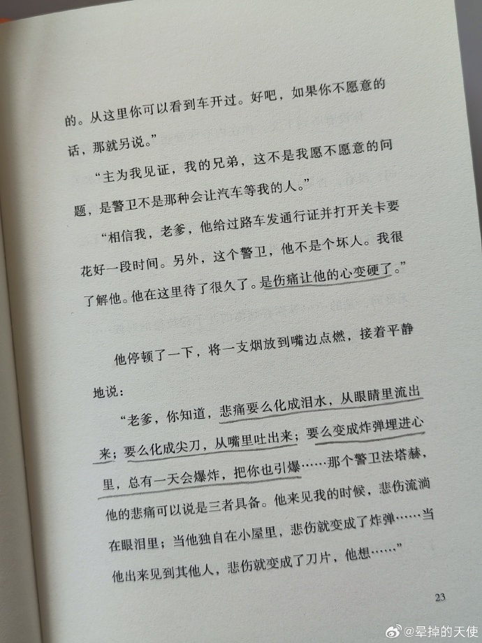 血之地，一段历史的悲歌