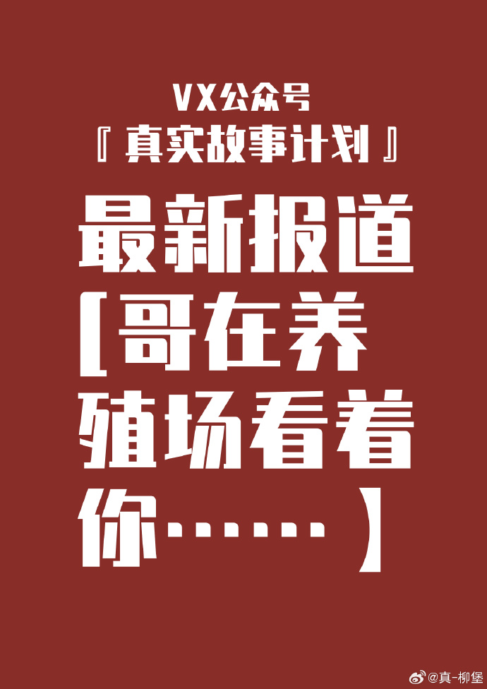 黑料社-今日黑料独家爆料正能量黑料社独家爆料，今日正能量，揭秘背后的故事-第2张图片