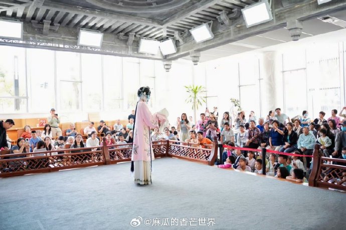 五月四房播播的魅力与故事-第3张图片