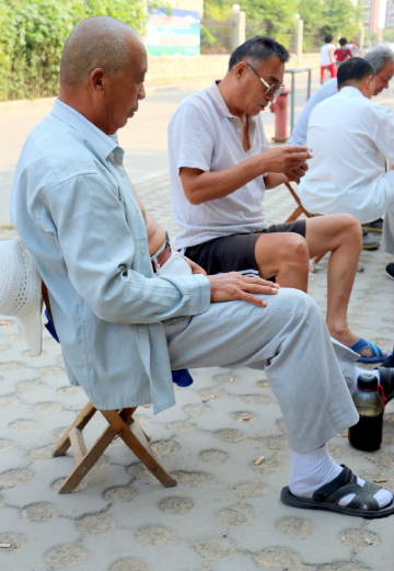 恋老同志小说大全关于恋老同志现象的探讨