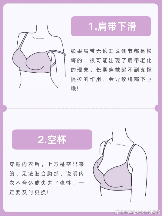 关于女性内衣的探讨与日常生活的趣味互动