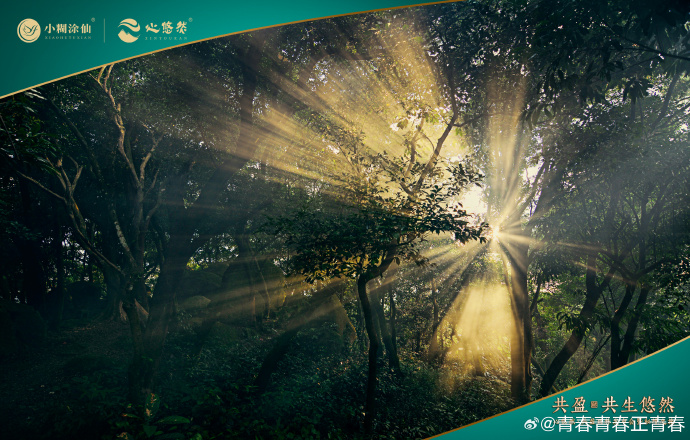 探索嫦娥之美，一层一层揭秘的神秘之旅-第1张图片