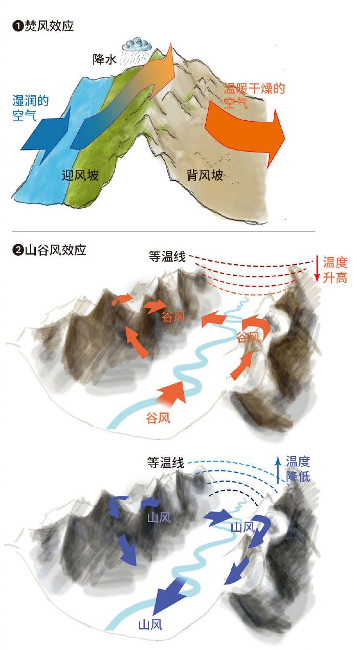 亚洲区域划分与文化多样性-第1张图片