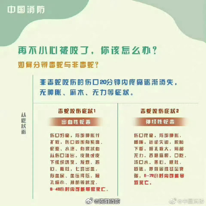 怎么用快播下载电影快播已停止运营，如何正确下载电影的指南
