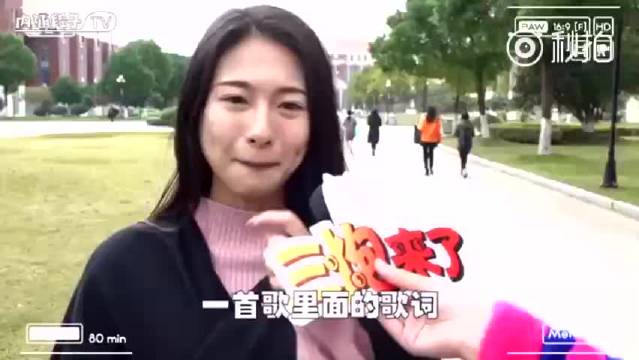 蘑菇污视频app，免费下载与观看的全新体验-第2张图片