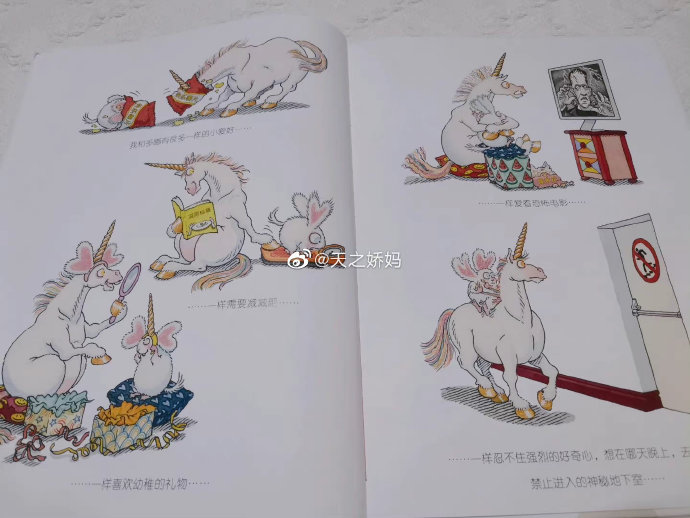 英语老师与她的软毛兔子——一次意外的视频分享经历
