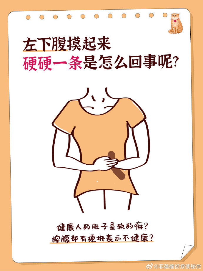 肚子里的秘密——如何从内部塑造出他的形状-第1张图片