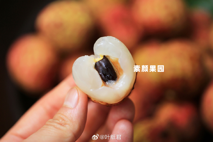 荔枝app下载汅api免费下载在线观看荔枝APP下载汅API免费下载，在线观看体验新篇章-第2张图片