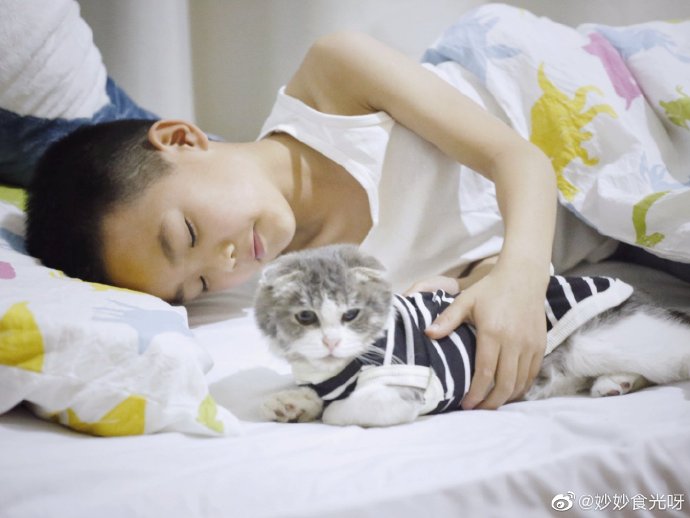 找分享生男该宝妈寻找与分享，生活的美好之旅