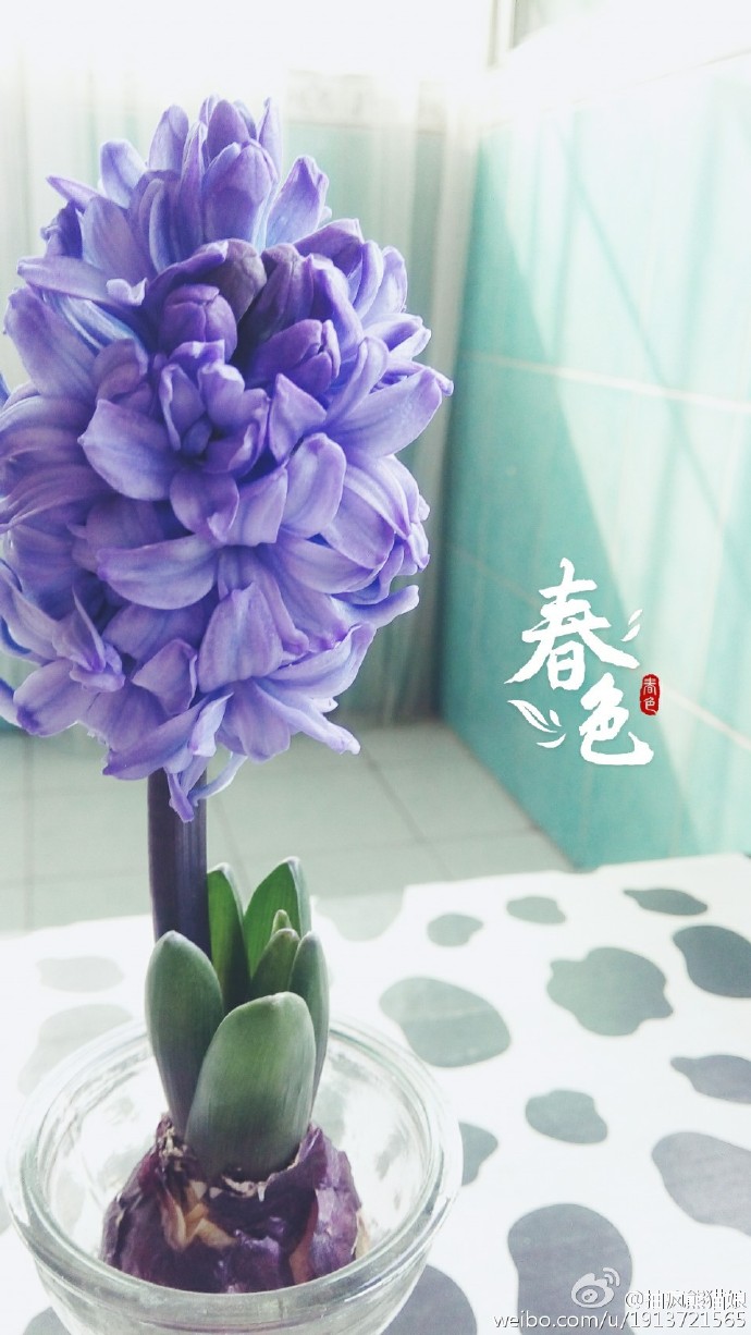 暖暖的午后，免费欣赏日本在线影片-第1张图片
