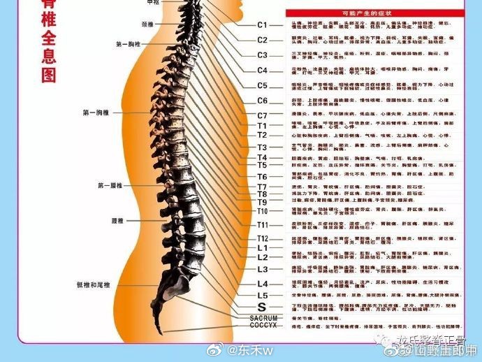 手上下手上下之魅力与力量-第2张图片