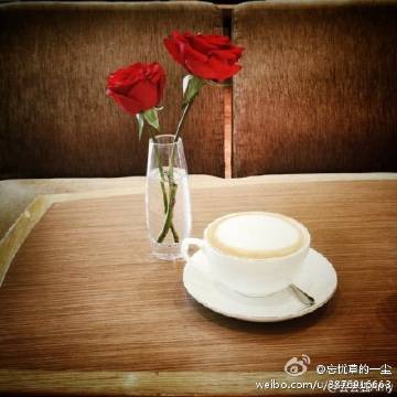 忘忧草视频在线观看视频在线播放忘忧草视频在线观看，探索快乐与放松的源泉-第2张图片