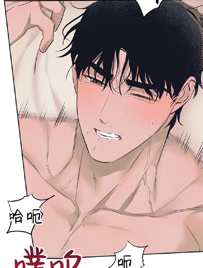 被室友发现小批双男主双性漫画的体验与思考