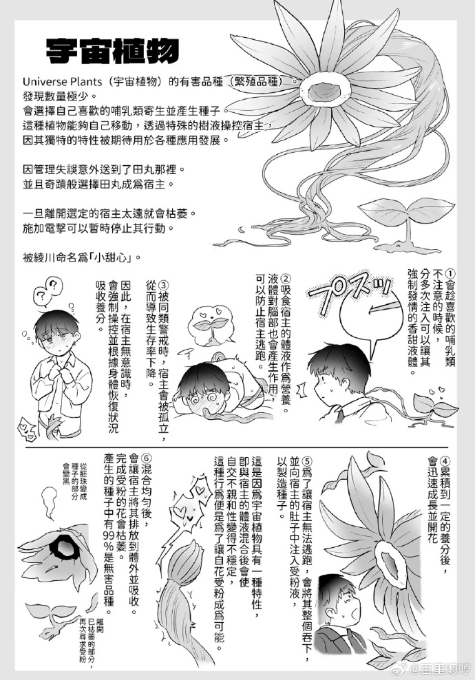 动漫文化中的界限探讨，关于动漫触手禁图的深度解析-第1张图片
