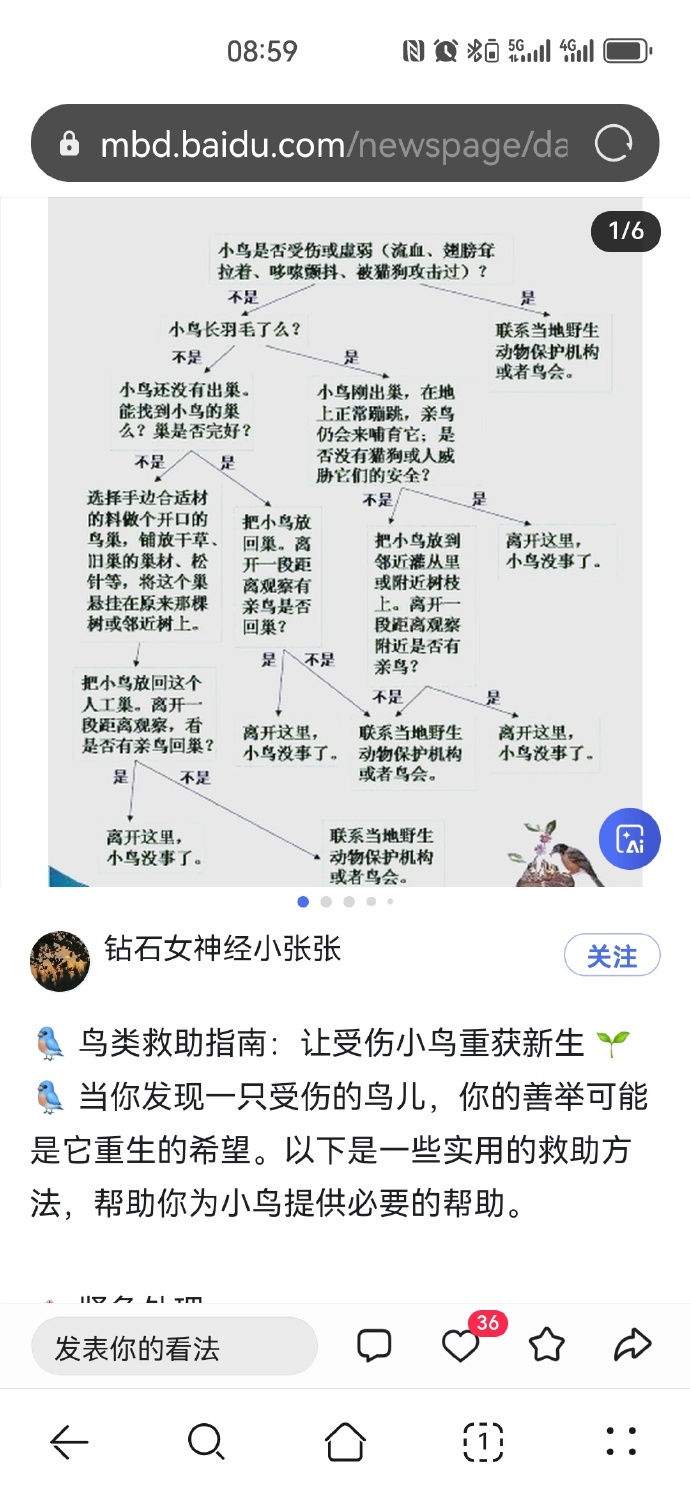 孙美琪石门村关联线索孙美琪与石门村，关联线索的探索-第2张图片