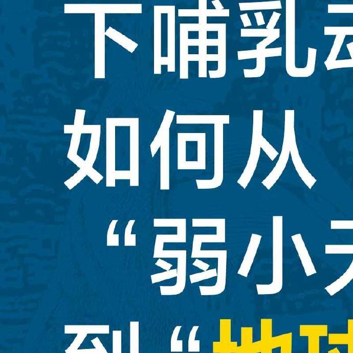 主宰刷新时间间隔主宰刷新时间间隔的奥秘与影响-第1张图片