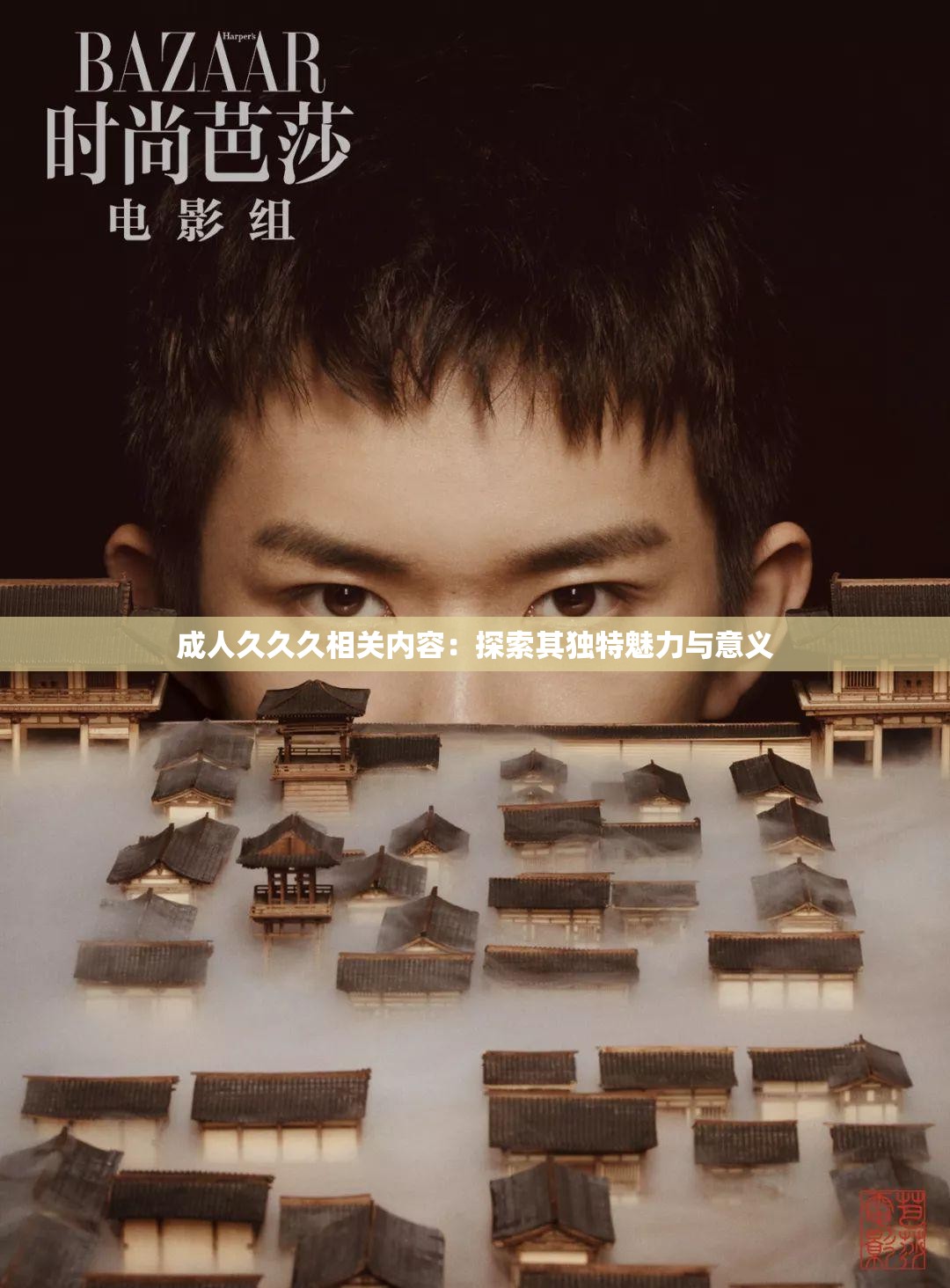 国产成人影片的探索与高清呈现-第2张图片