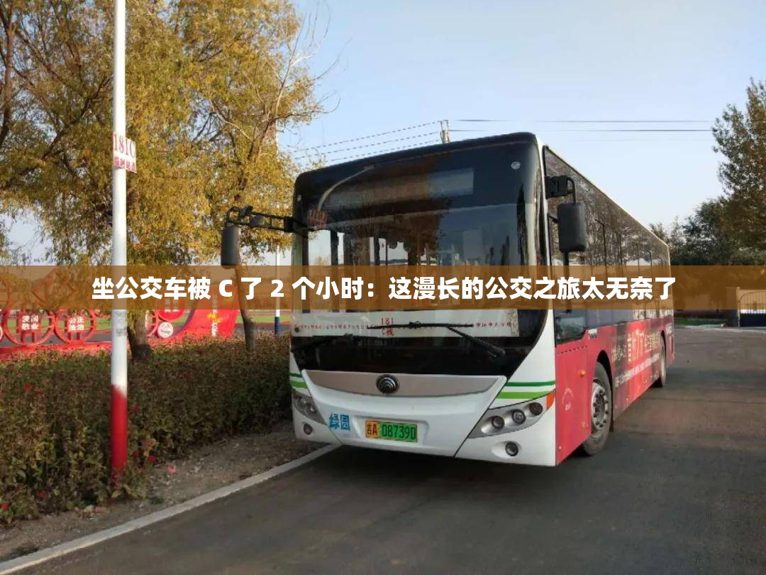 小C的公交之旅-第3张图片