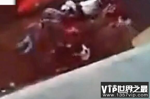 免费人成视频19674不收费免费人成视频资源分享，19674不收费的观看体验