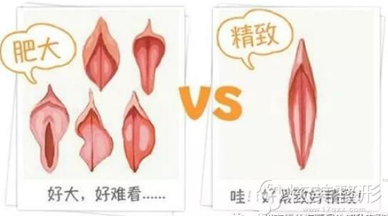 日本熟妇的私密话题，关于浓密毛发的探讨