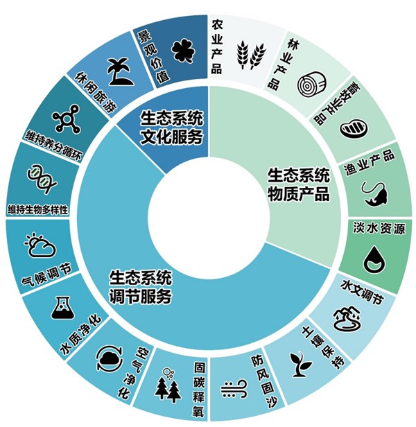 饭山，美食的源泉与生态的守护